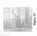 Fig. 19 - Misfolded protein sensor method