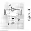 Fig. 31 - Misfolded protein sensor method
