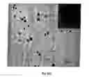 Fig. 05 - Sensors for detecting an analyte using silver nanoparticles