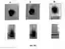 Fig. 09 - Sensors for detecting an analyte using silver nanoparticles