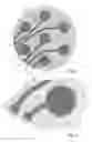 Fig. 02 - Method of manufacturing a transparent element including transparent electrodes