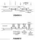 Fig. 05 - Image sensor and pixel having an optimized floating diffusion