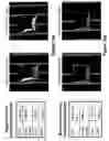 Fig. 11 - Method of cross-section milling with focused ion beam (FIB) device