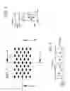 Fig. 06 - Tissue product with mixed inclination embosses