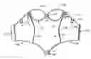 Fig. 01 - Upper body controlling and smoothing bodysuit
