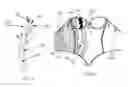Fig. 03 - Upper body controlling and smoothing bodysuit