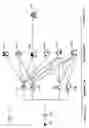 Fig. 09 - Breeding simulation apparatus for virtual creatures