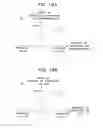 Fig. 19 - GAME SYSTEM AND METHOD OF CONTROLLING GAME INFORMATION