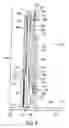 Fig. 09 - Storable exercise apparatus for professional and home use