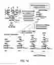 Fig. 44 - Remodeling and glycoconjugation of peptides