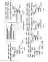 Fig. 48 - Remodeling and glycoconjugation of peptides