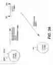 Fig. 07 - Treatment of hemophilia with human Factor IX produced in mammary tissue of transgenic mammals