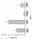 Fig. 06 - Method of use of antagonists of zonulin to prevent the loss of or to regenerate pancreatic cells