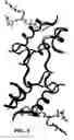 Fig. 06 - Crystallization of IGF-1