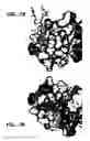 Fig. 08 - Crystallization of IGF-1