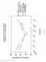 Fig. 06 - Stable pharmaceutical compositions including motilin-like peptides