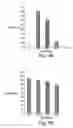 Fig. 04 - Anti-tumor agents