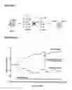 Fig. 02 - Compounds and methods for treating seizure disorders