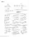 Fig. 06 - Oligonucleotides comprising a non-phosphate backbone linkage