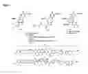 Fig. 08 - Oligonucleotides comprising a non-phosphate backbone linkage