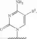 Fig. 225 - Oligonucleotides comprising a non-phosphate backbone linkage