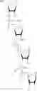 Fig. 32 - Oligonucleotides comprising a non-phosphate backbone linkage
