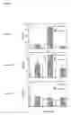Fig. 08 - Modulation of immunostimulatory properties of oligonucleotide-based compounds by optimal presentation of 5′ ends
