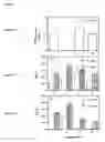 Fig. 12 - Modulation of immunostimulatory properties of oligonucleotide-based compounds by optimal presentation of 5′ ends