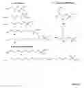 Fig. 15 - Modulation of immunostimulatory properties of oligonucleotide-based compounds by optimal presentation of 5′ ends