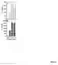 Fig. 17 - Modulation of immunostimulatory properties of oligonucleotide-based compounds by optimal presentation of 5′ ends