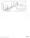 Fig. 19 - Modulation of immunostimulatory properties of oligonucleotide-based compounds by optimal presentation of 5′ ends