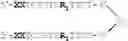 Fig. 29 - Modulation of immunostimulatory properties of oligonucleotide-based compounds by optimal presentation of 5′ ends