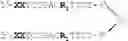 Fig. 33 - Modulation of immunostimulatory properties of oligonucleotide-based compounds by optimal presentation of 5′ ends