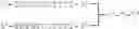 Fig. 47 - Modulation of immunostimulatory properties of oligonucleotide-based compounds by optimal presentation of 5′ ends