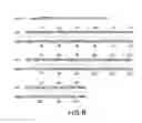 Fig. 09 - Apoptosis-specific eIF-5A and polynucleotides encoding same