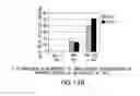 Fig. 136 - Apoptosis-specific eIF-5A and polynucleotides encoding same