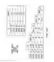 Fig. 149 - Apoptosis-specific eIF-5A and polynucleotides encoding same