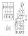 Fig. 151 - Apoptosis-specific eIF-5A and polynucleotides encoding same