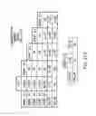 Fig. 154 - Apoptosis-specific eIF-5A and polynucleotides encoding same