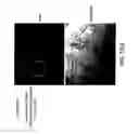 Fig. 161 - Apoptosis-specific eIF-5A and polynucleotides encoding same