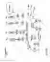 Fig. 34 - Apoptosis-specific eIF-5A and polynucleotides encoding same