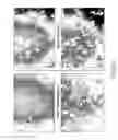 Fig. 49 - Apoptosis-specific eIF-5A and polynucleotides encoding same
