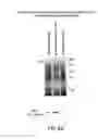 Fig. 53 - Apoptosis-specific eIF-5A and polynucleotides encoding same