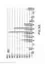 Fig. 58 - Apoptosis-specific eIF-5A and polynucleotides encoding same