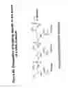 Fig. 49 - RNA interference mediated ihibition of gene expression using chemically modified short interfering nucleic acid (siNA)