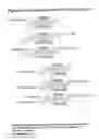 Fig. 65 - RNA interference mediated ihibition of gene expression using chemically modified short interfering nucleic acid (siNA)