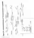 Fig. 72 - RNA interference mediated ihibition of gene expression using chemically modified short interfering nucleic acid (siNA)