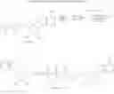 Fig. 08 - Dinucleoside poly(borano)phosphate derivatives and uses thereof