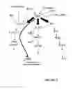 Fig. 04 - Methods and reagents for inhibiting cell proliferation