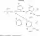 Fig. 16 - Method for treating glaucoma III B